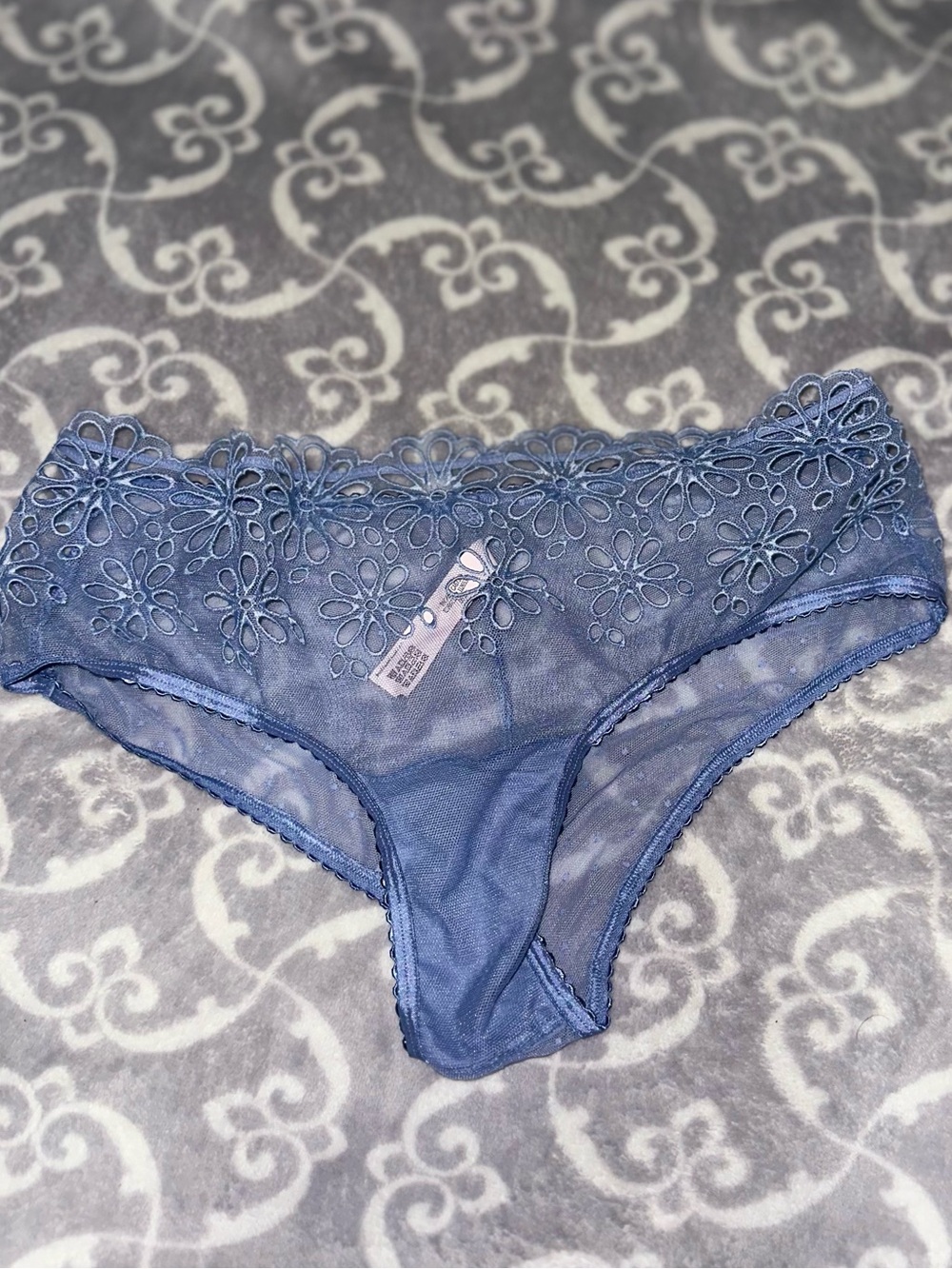 Victoria's Secret Blue Floral Lace Hipster Panty